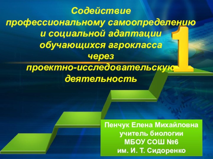 Содействие  профессиональному самоопределению и социальной адаптации