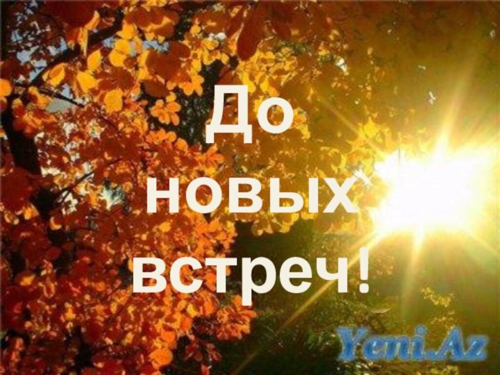 До новых встреч!