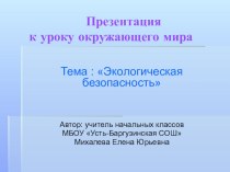 Презентация к уроку Экологическая безопасность 3 класс