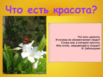 Презентация к классному часу на тему Что есть красота?