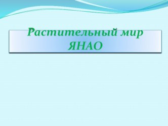 Презентация по географии ЯНАО Растительный мир ЯНАО