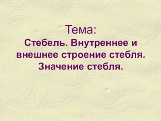 Презентация Стебель, внутреннее и внешнее строение. Значение стебля