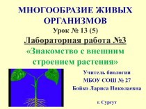 Презентация по биологии на тему Растения. Лабораторная работа №3 Знакомство с внешним строением растения (5 класс)