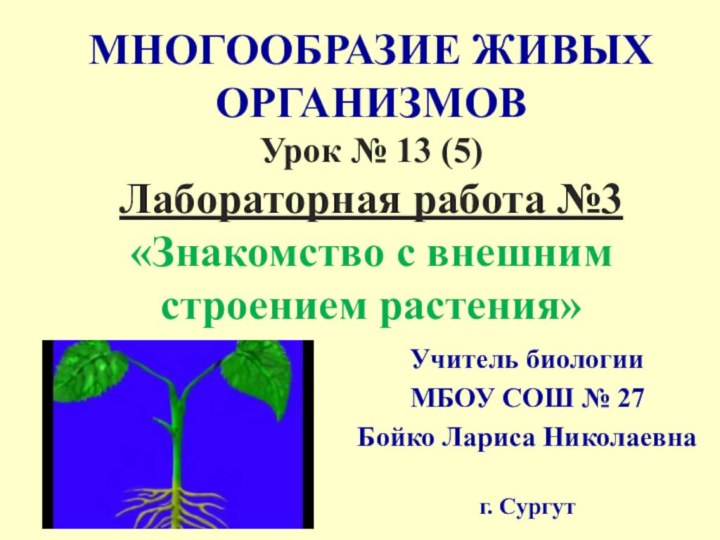 Лабораторная работа по биологии внешнее строение. Лабораторные работы с растениями. Лабораторная работа строение растения. Практическая работа по биологии. Лабораторная работа по биологии.