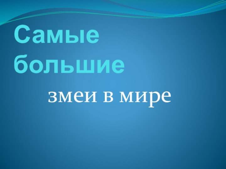 Самые большие змеи в мире