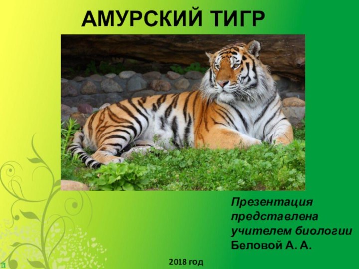 Амурский тигрПрезентация представленаучителем биологии Беловой А. А.2018 год