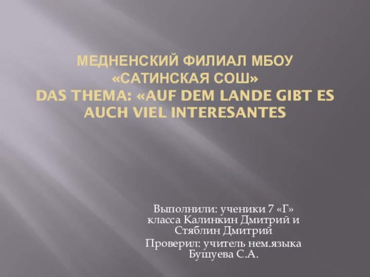 Медненский филиал МБОУ «Сатинская СОШ» Das Thema: «Auf dem Lande gibt es