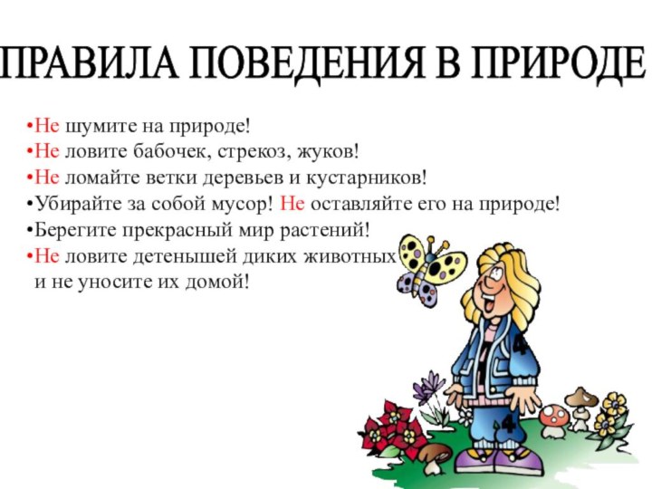 ПРАВИЛА ПОВЕДЕНИЯ В ПРИРОДЕНе шумите на природе! Не ловите бабочек, стрекоз, жуков!