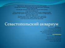 Презентация по Севастополеведению на тему Севастопольский Аквариум(3-4 классы)