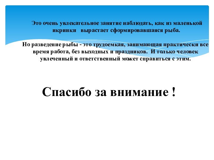 Спасибо за внимание ! Это очень увлекательное занятие наблюдать, как из маленькой