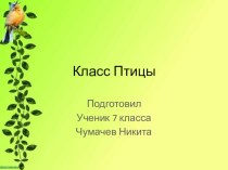 Презентация по биологии Класс Птицы