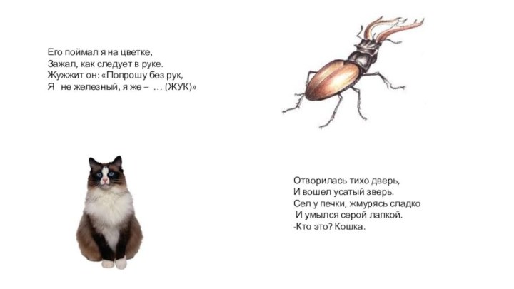 Его поймал я на цветке,Зажал, как следует в руке.Жужжит он: «Попрошу без