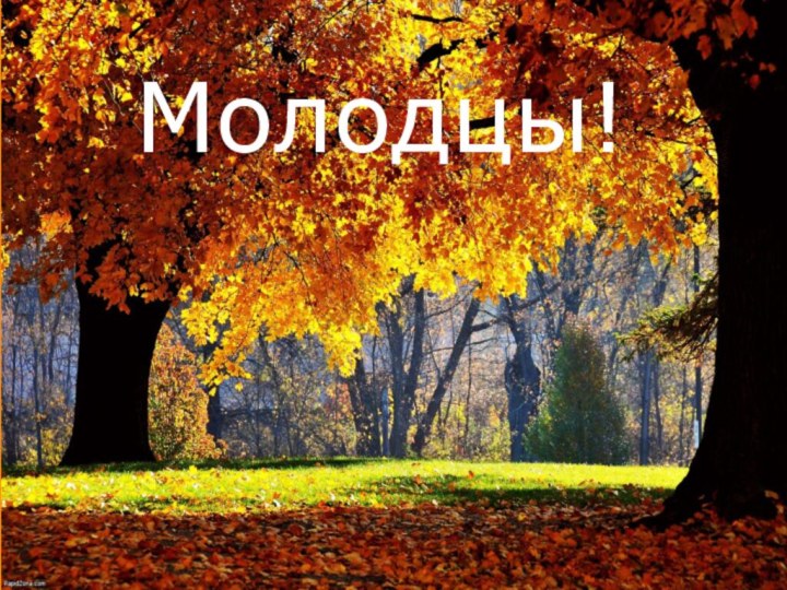 Молодцы!