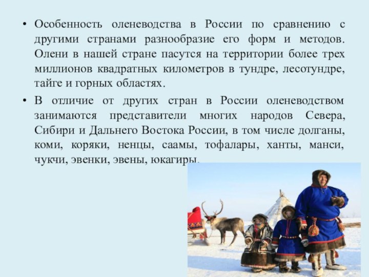 Особенность оленеводства в России по сравнению с другими странами разнообразие его форм