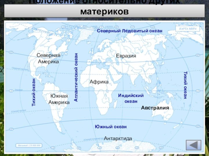 Положение относительно других материков АвстралияАфрикаЕвразияСевернаяАмерикаЮжная АмерикаАнтарктидаСеверный Ледовитый океанАтлантический океанТихий океанТихий океанИндийскийокеанЮжный океан