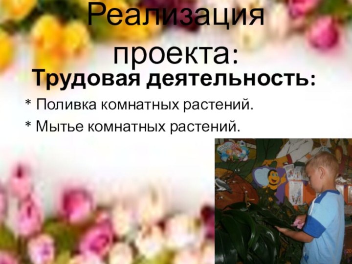 Реализация проекта:  Трудовая деятельность: * Поливка комнатных растений. * Мытье комнатных растений.