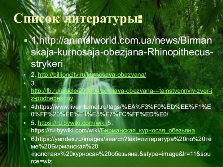 Список литературы:1.http://animalworld.com.ua/news/Birmanskaja-kurnosaja-obezjana-Rhinopithecus-strykeri2. http://billioncity.ru/kurnosaya-obezyana/3. http://fb.ru/article/293694/zolotaya-obezyana---tainstvennyiy-zver-iz-podnebesnoy4.https://www.liveinternet.ru/tags/%EA%F3%F0%ED%EE%F1%E0%FF%20%EE%E1%E5%E7%FC%FF%ED%E0/5. https://ru.bywiki.com/wiki/5. https://ru.bywiki.com/wiki/Бирманская_курносая_обезьяна6.https://yandex.ru/images/search?text=литература%20по%20теме%20Бирманская%20«золотая»%20курносая%20обезьяна.&stype=image&lr=11&source=wiz7. https://batrachospermum.livejournal.com/18118.html