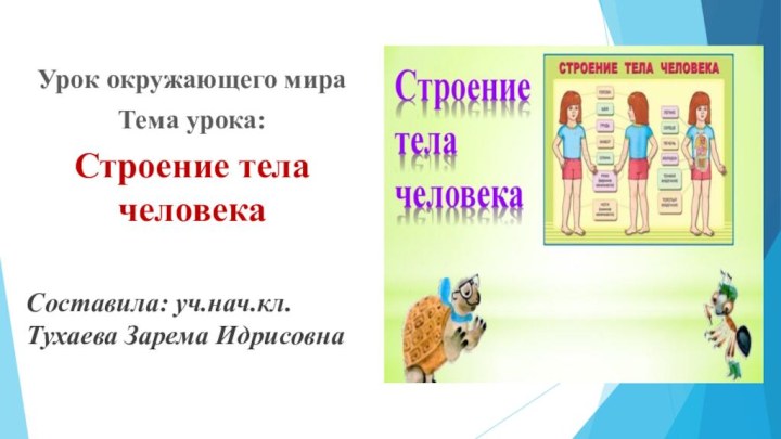 Урок окружающего мираТема урока: Строение тела человекаСоставила: уч.нач.кл.Тухаева Зарема Идрисовна