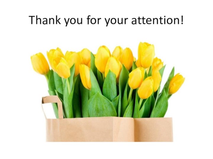 Thank you for your attention!