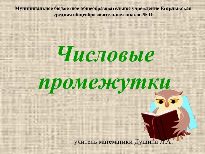 Числовые промежуткиМуниципальное бюджетное общеобразовательное учреждение Егорлыкская средняя общеобразовательная школа № 11учитель математики Душина Л.А.