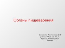 Презентация по биологии на тему Эволюция органов пищеварения