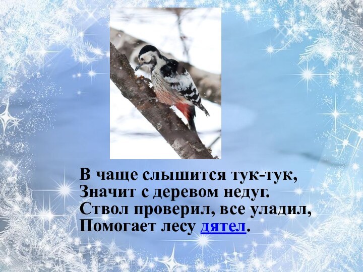 В чаще слышится тук-тук, Значит с деревом недуг. Ствол проверил, все уладил, Помогает лесу дятел.