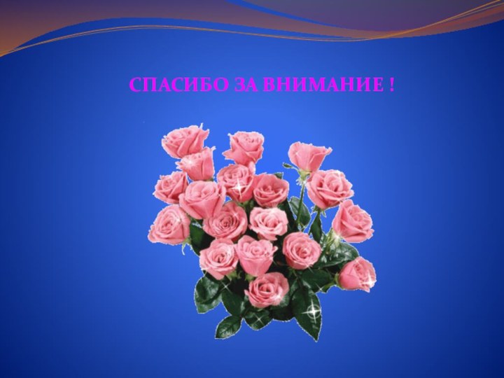 СПАСИБО ЗА ВНИМАНИЕ !