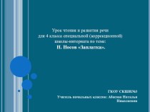 Презентация к уроку чтения Н.Н.Носов Заплатка