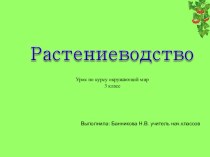 Презентация по окружающему миру Растениеводство