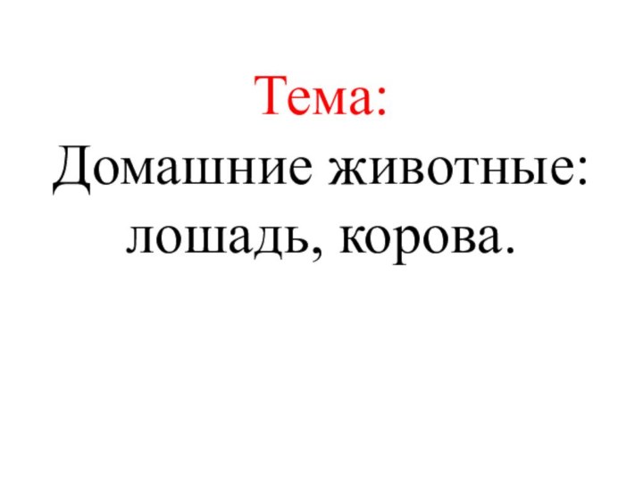 Тема:   Домашние животные:  лошадь, корова.