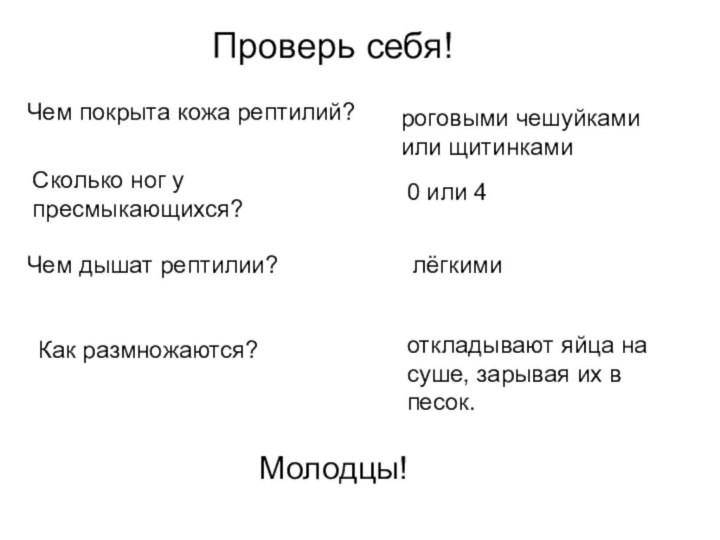 Чем покрыта кожа рептилий?роговыми чешуйками или щитинками	Сколько ног у пресмыкающихся?0 или 4Чем