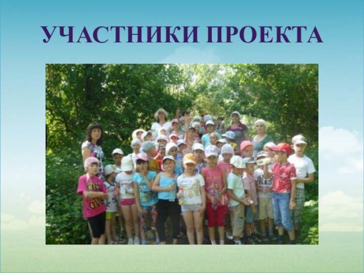 Участники проекта