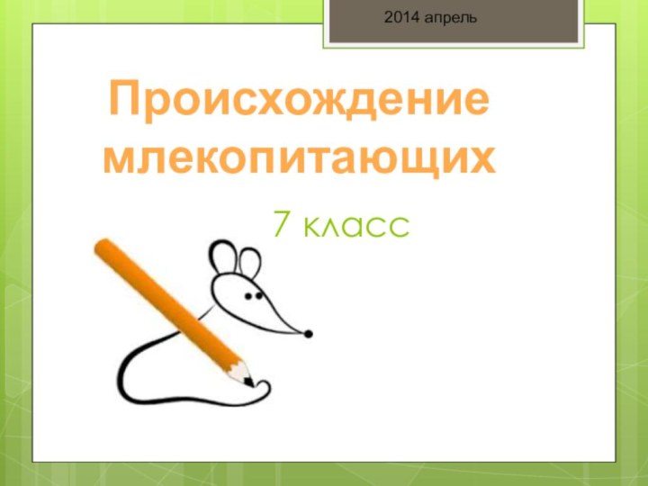 Происхождение млекопитающих7 класс2014 апрель