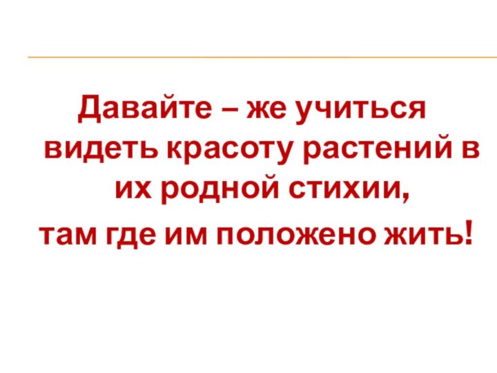 Давайте – же учиться видеть красоту растений в их родной стихии,