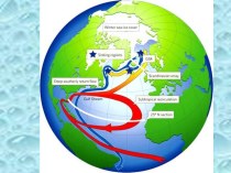 Презентация по окружающему миру на тему Три состояния воды