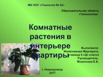 Презентация по технологии на тему  Комнатные растения в интерьере 6 класс)