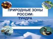 Презентация по окружающему миру на тему Природные зоны России. Тундра