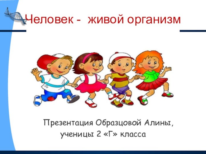 Презентация Образцовой Алины, ученицы 2 «Г» классаЧеловек - живой организм