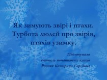 Презентація та розробка уроку з природознавства Як зимують звірі і птахи (2 клас)