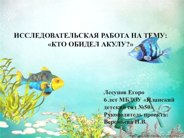 ИССЛЕДОВАТЕЛЬСКАЯ РАБОТА НА ТЕМУ: «КТО ОБИДЕЛ АКУЛУ?» Лесунов Егоро 6 лет МБДОУ