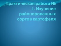 Презентация к практической работе № 1 Изучение районированных сортов картофеля