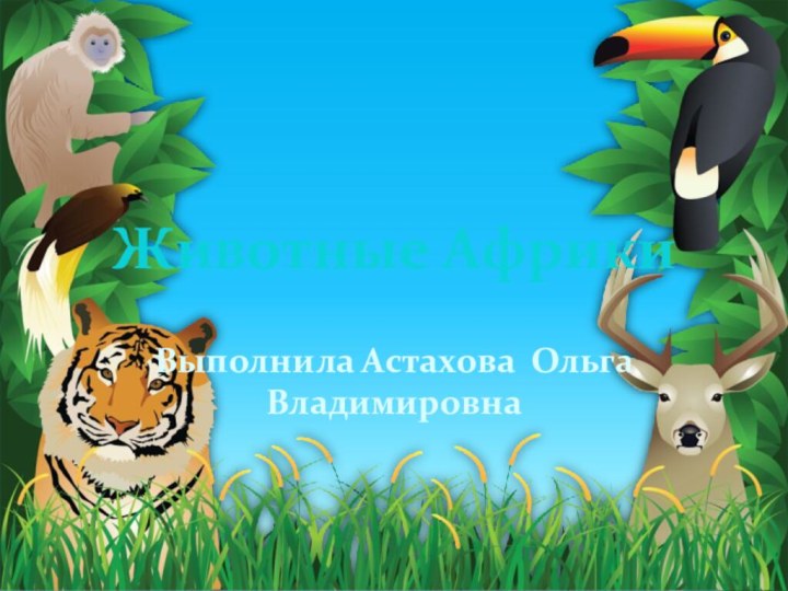 Животные АфрикиВыполнила Астахова Ольга Владимировна