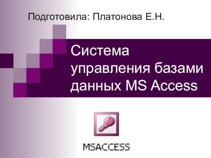 Система управления базами данных MS AccessПодготовила: Платонова Е.Н.