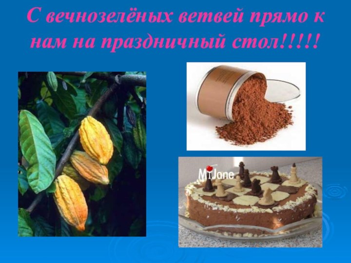 С вечнозелёных ветвей прямо к нам на праздничный стол!!!!!