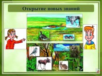 Презентация к уроку по окружающему миру на тему Леса умеренного пояса, часть 2