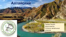 Презентация по окружающему миру Алтайский заповедник