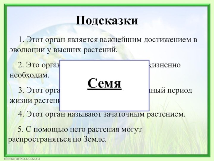 Подсказки1. Этот орган является важнейшим достижением в эволюции у высших растений. 2.