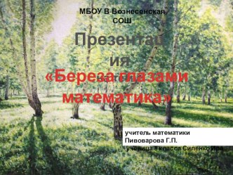 Презентация по математике:Берёза глазами математика