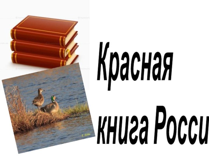 Краснаякнига России