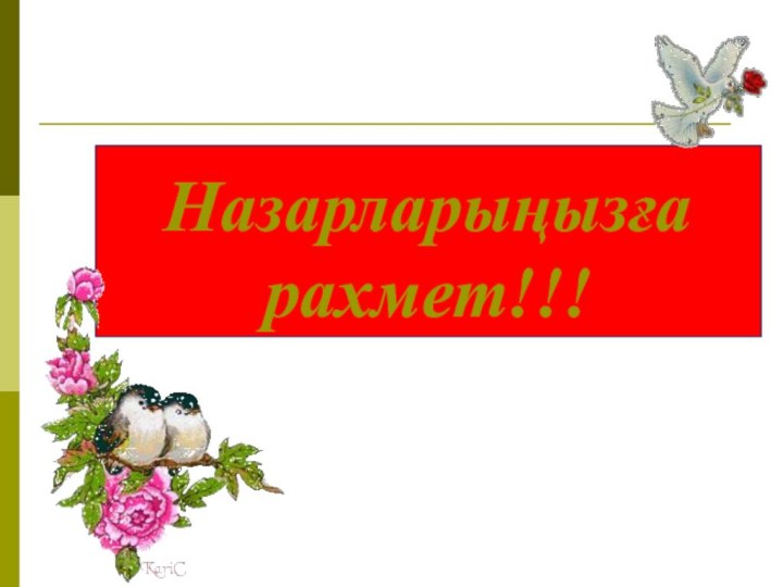 Назарларыңызға рахмет!!!